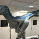 Dino Dental